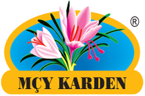 Your Store MCY karden